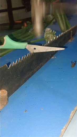 Fix Any Hand Saw in Minutes (No Special Tools Needed)