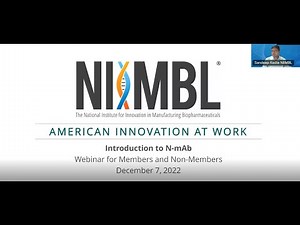 Introduction to N-mAb