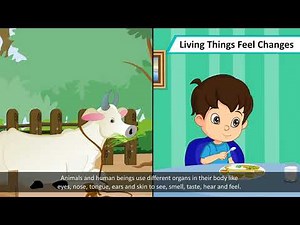 CLASS 3 - SCIENCE - LIVING & NON LIVING THINGS | PRIME THE SCHOOL OF EXCELLENCE
