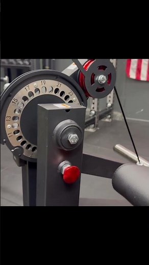 Mikolo X GMWD Budget Leg Extension & Curl.