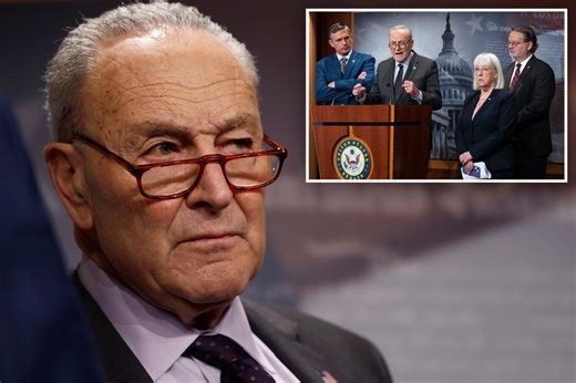 Sen. Schumer turns off social media users after claiming ‘people are aroused’ by Trump’s federal loan freeze: ‘Calm down, Chuck
