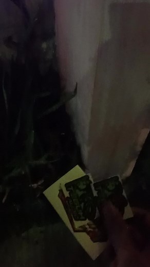 wilayah gagaan seng jalok sopo mau #soundviral #soundkonten #brewokmusic #brewog_audio #teguhaudiopurwodadi #wallgress #fyp