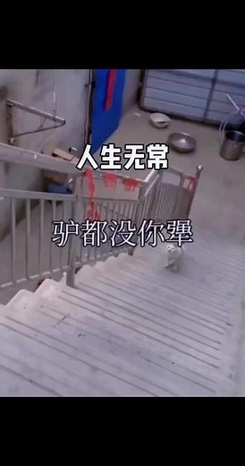 #梯子怎么安装使用 #搬运工的生活
