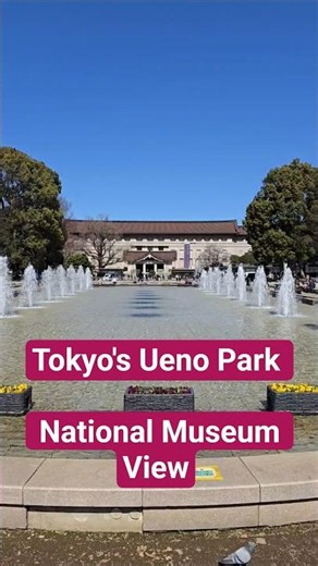 Tokyo Hidden Gems 😍#japantravel #japanvlog #tokyo #shorts #uenopark #museum