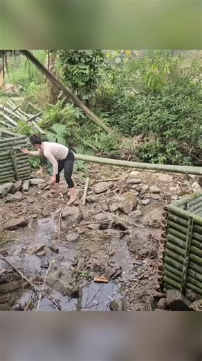 #Eps004 Build a bamboo bridge across the stream and arrange stones to serve as bridge supports. #singlemom #singlemombuildnewlife #singlebuildbamboohouse