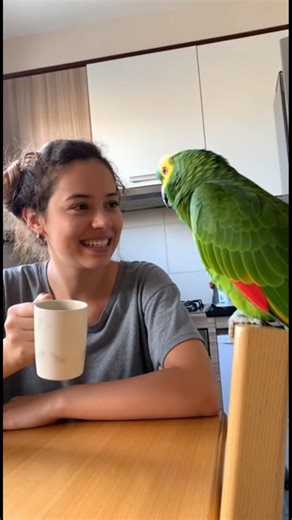 🦜Ele disse que está apaixonado!❤️😂😂