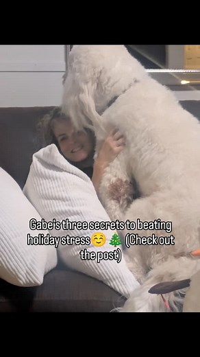 I was thinking the other day how kind it was of God to create dogs for us. They love us unconditionally, give us their full attention, and overlook our faults 😁. And the best part? They do all of that without stress (well, at least Gabe is never stressed☺️). The holidays are wonderful, but they can also bring their fair share of pressure. So I thought I’d share three lessons Gabe has taught me about keeping peace in the middle of the holiday rush: ✨ How to Beat Holiday Stress (from Gabe🤣):🐩🐾