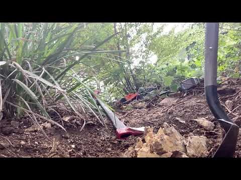 Removing a Tree Root Ball with a Reciprocating Saw & Axe
