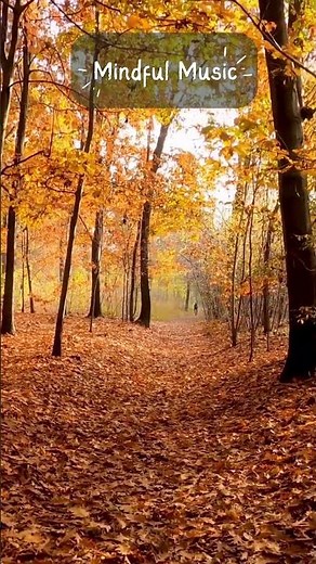Discover the CALM of Autumn with Soothing Fall Music