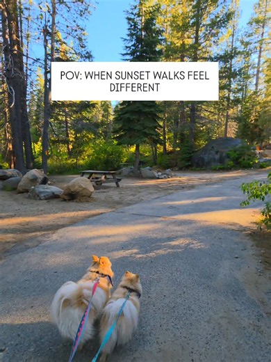 Peaceful Mornings at South Lake Tahoe KOA