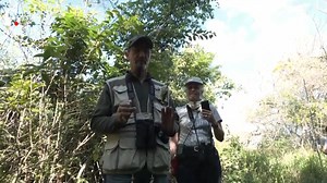 24 reactions | Cuban biologists try to understand how and why birds migrate. Cuba has started a project with Environment and Climate Change Canada department to track the birds’ movements. The project marks Cuba’s first international tracking programme. | Firstpost | Facebook