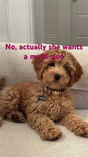 I LOVE MULTI-￼POOS THEY ARE SO CUTE