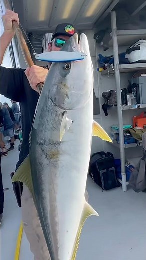 Epic Yellowtail Haul: The San Diego Scores 50+ at Coronado Islands! Yo-Yo Iron Action