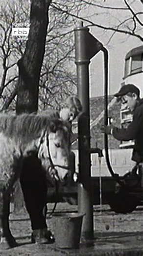 Berlin vor 70 Jahren | Ausflüge und Stadtleben 1955 #retro