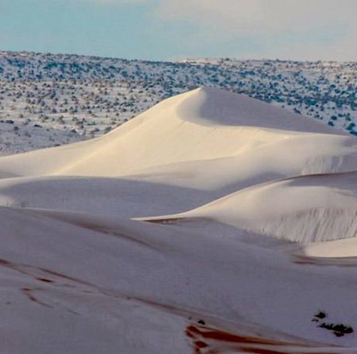 La neige tombe au Sahara | Le Parisien