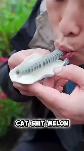 The “Dirty” Fruit Chinese People Actually Love! | Cat Sheet Melon Facts, #short #facts