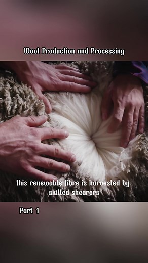 Understanding Wool Production and Processing Techniques