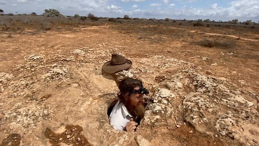 770K views · 10K reactions | Crawling into a hole in the earth! Not for the claustrophobic! #davidmcmahongoingbush #wildlifephotography #wildlife #animals #caves #bushcraft #australia #westernaustralia #outbacktravel #scary #videoofthefay #love #instagood #fashion #photooftheday #beautiful #art #photography #happy #cute #follow #tbt #followme #nature #like4like #travel #repost #instagram #style #summer | David McMahon | Facebook