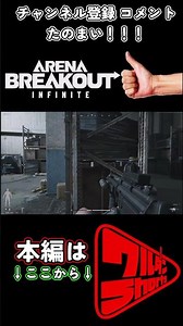 [PC Version ABI] It’s always like this... [Arena Breakout: Infinite]