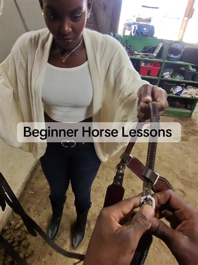 Beginner Horse Lessons for Aspiring Riders