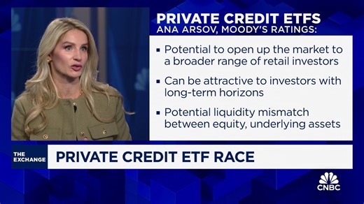 Private credit ETFs could provide opportunity to retail investors, says Moody's Ana Arsov