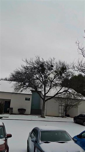 First snow. Pardon the face shots. Couldn't figure out if it was just my reflection or my actual face. Laugh 😃 out loud! Part 3 | Steve Cope