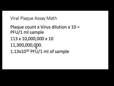 Viral Plaque Assay Math