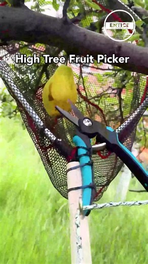 DIY High Tree Fruit Picker: Easy Gardening Solution