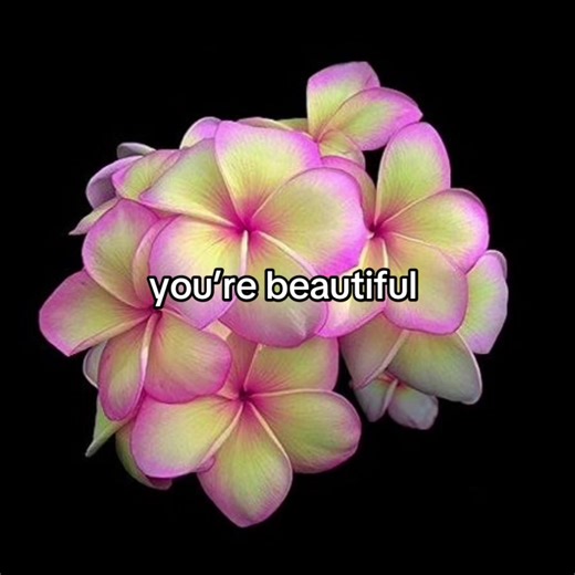 Your beautiful #poetry #flower #flowers #hope #soulmate | poetry