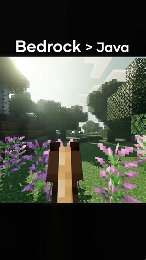 Is Bedrock Actually Better Than Java | Dark Fantasy Visuals