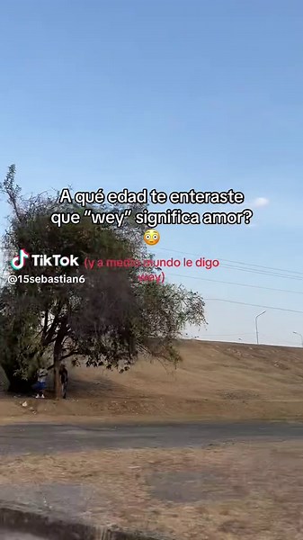 ¿Qué significa 'wey'? Curiosidades y su uso en español