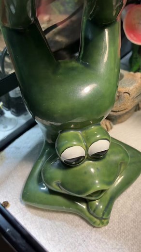 Beautiful Frog Transformation with Manga and AI Filters