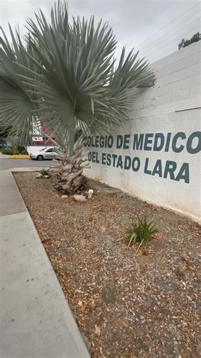 Certificado médico en Barquisimeto #barquisimeto #tramites #venezuela🇻🇪