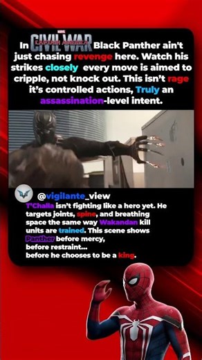 Black Panther Wasn’t Pulling Punches in Civil War