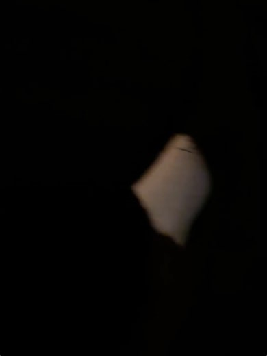 Family Fun Pack on Reels