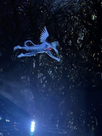 The Oz Archive on Reels