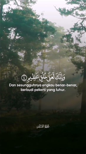 QS Al Qalam 1-6 #doa #recitation #murottal