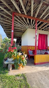 882K views · 17K reactions | Está Hermosa finca es un verdadero...