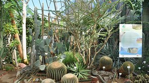 Dieser botanische Garten in Baden-Württemberg ist einer der ältesten der Welt
