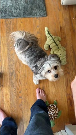 What do you think her favorite toy is?