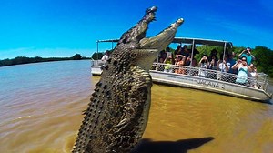 770K views · 1.7K reactions | Biggest Crocodiles In The World! | Mysterious Stories | Facebook