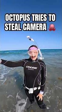 i can't believe that octopus tried to steal my camera! 😳 😂 🐙 #ocean #diving #underwater