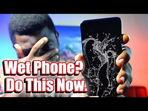 What to do When Your Phone Falls in water [ A Step by Step Guide]
