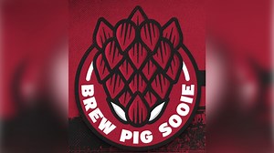 Arkansas Razorbacks to host 'Brew Pig Sooie' beer festival this weekend
