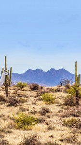 28 reactions | Try Experian Boost by downloading the free Experian App Today! | Experian | Facebook