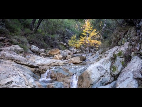 A beautiful hike through a California Park in May - Stevens Park in Santa Barbara 4K