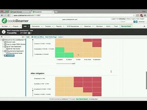 Risk management in Automotive development