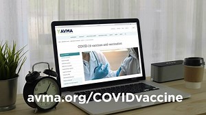 Earlier this week, the CDC issued welcome news for the veterinary profession as more detailed recommendations for COVID-19 vaccine distribution indicated that “veterinary services” should be included in Phase I-b of the vaccine rollout. Here's AVMA President Dr. Douglas Kratt with an update on the latest COVID-19 vaccination resources the AVMA has developed for the veterinary profession. You can learn more at avma.org/COVIDvaccine. | American Veterinary Medical Association (AVMA)