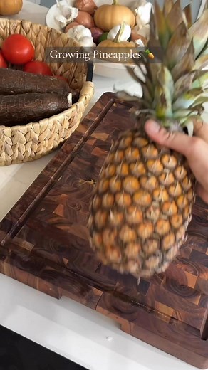 1M views · 30K reactions | Growing Pineapples at home takes a bit of...