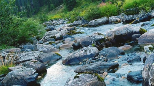 Free video - Mountain Stream, Nature, Landscape